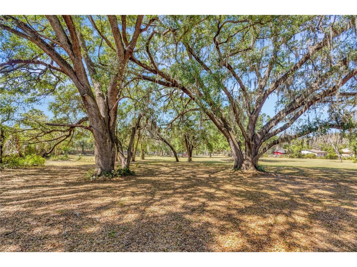 5501 N 37th Street Tampa FL 33610 TB8441150 image8