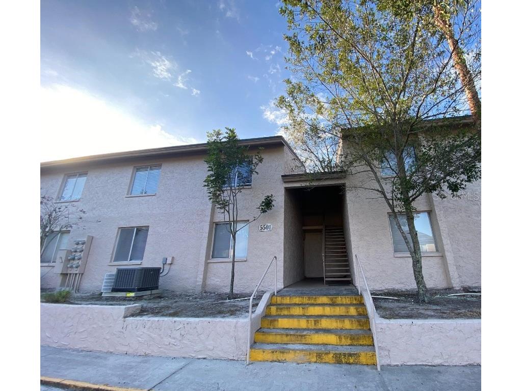 5501 Pokeweed Court #D Tampa FL 33617 S5125604 image1