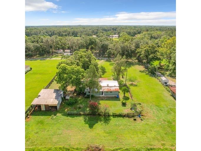 5501 Tindale Road Plant City FL 33565 T3463965 image1