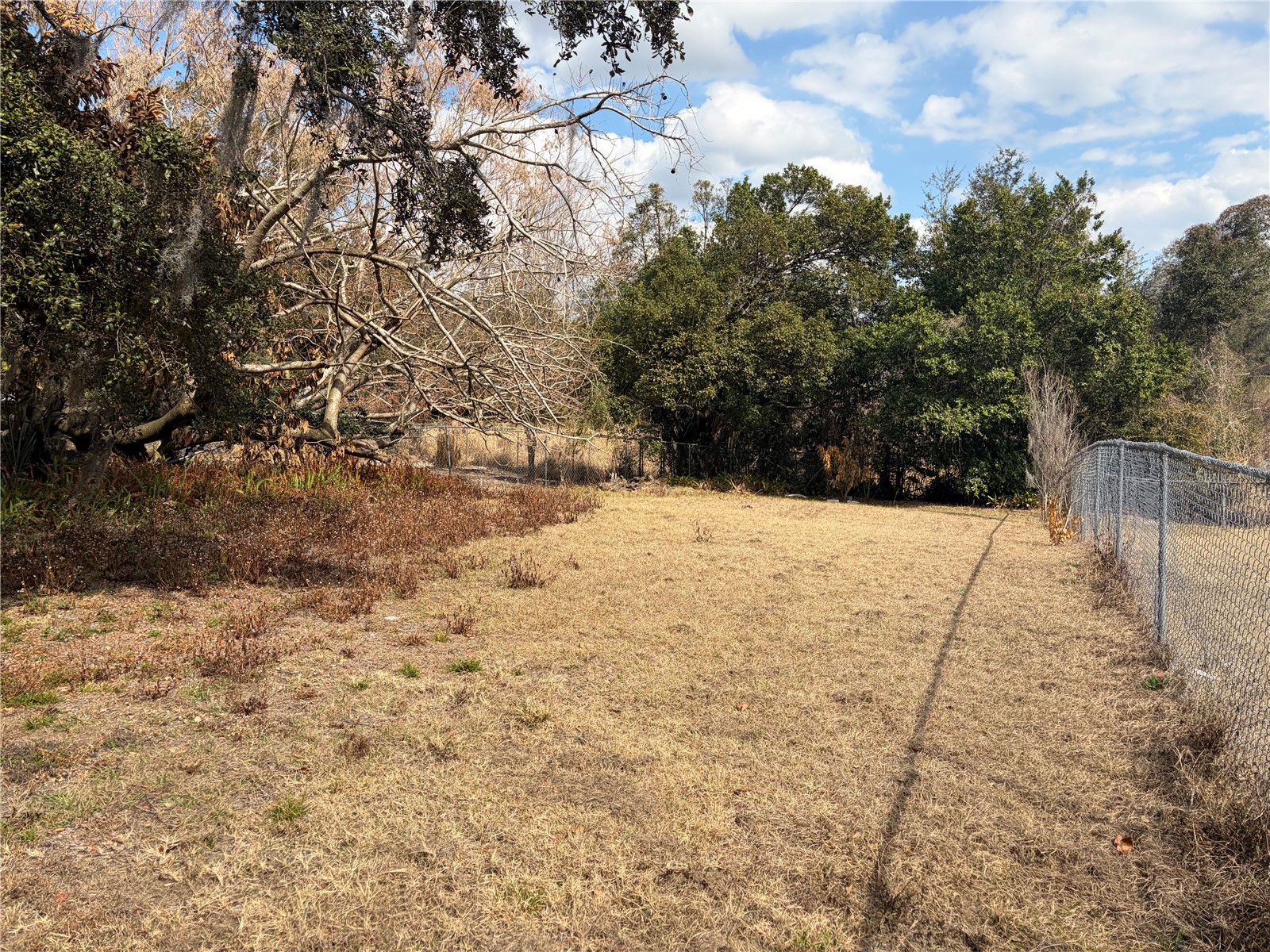 5501 Vance Avenue Orlando FL 32810 O6382708 image15