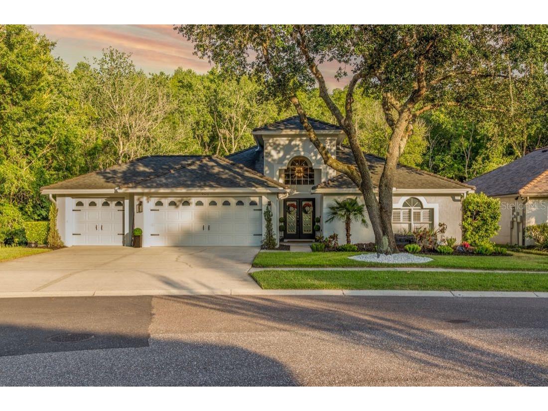 5502 Avenue Du Soleil Lutz FL 33558 O6211338 image1