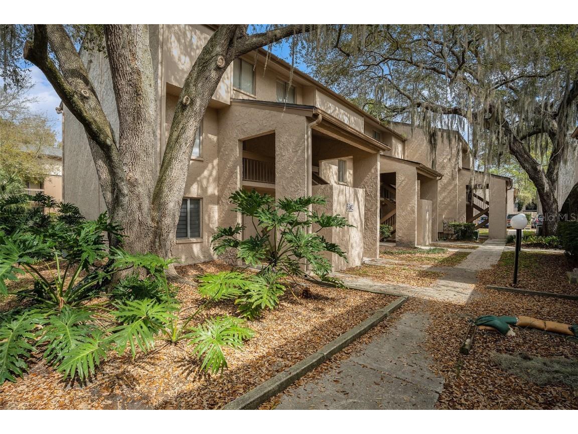 5502 Loblolly Court #200/B Tampa FL 33617 TB8308017 image1