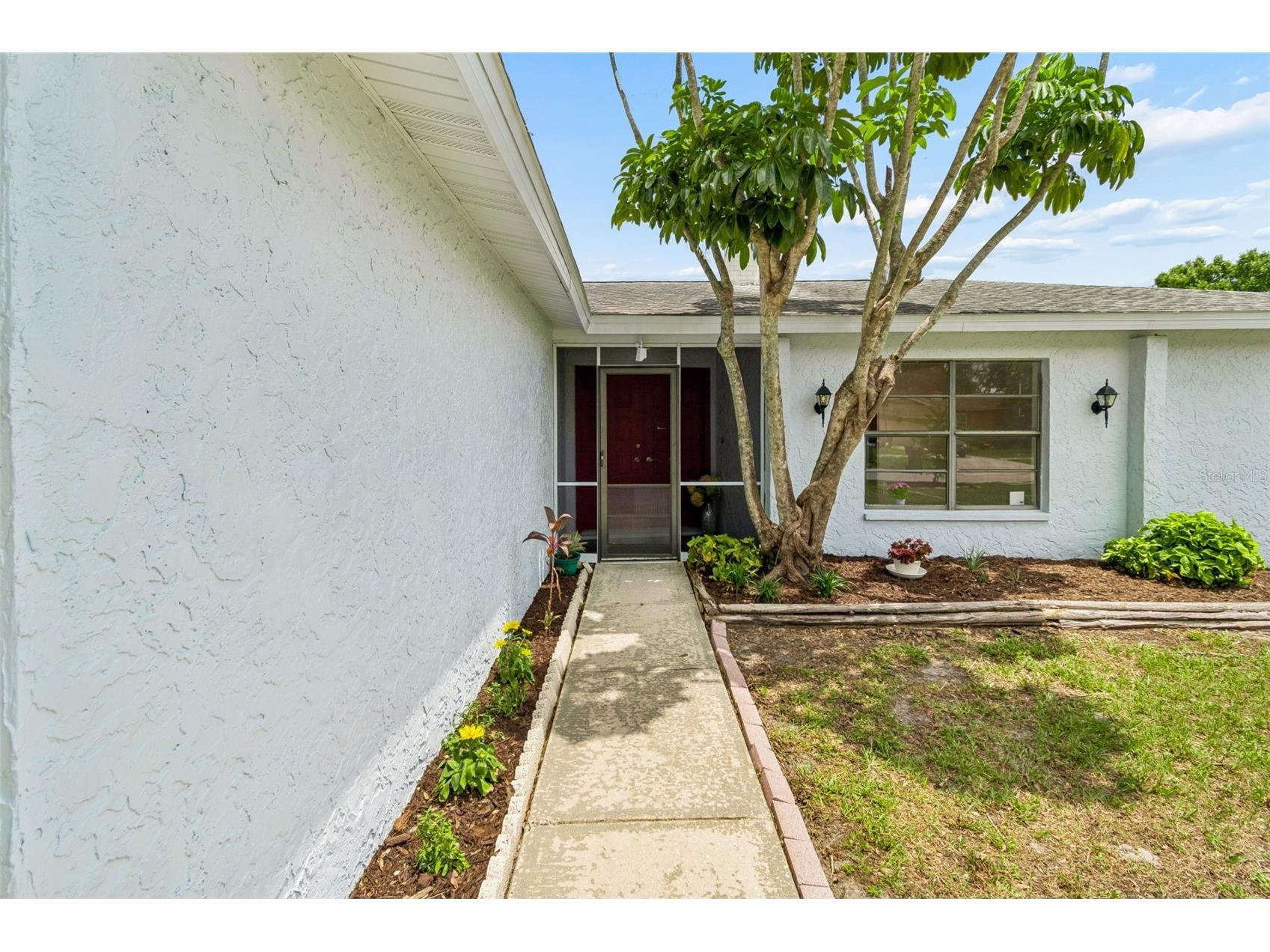 5503 Pentail Circle Tampa FL 33625 TB8518496 image3