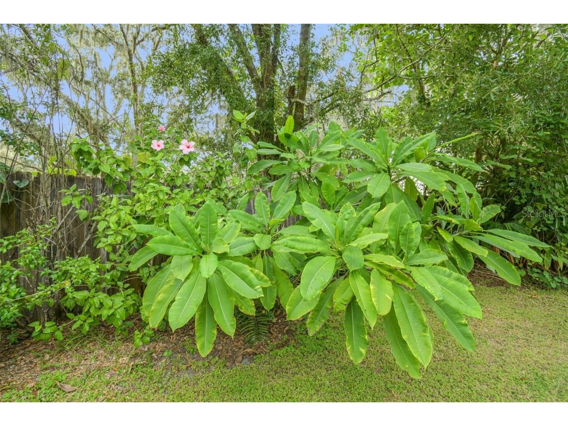 5504 Bruton Road Plant City FL 33565 TB8432167 image46