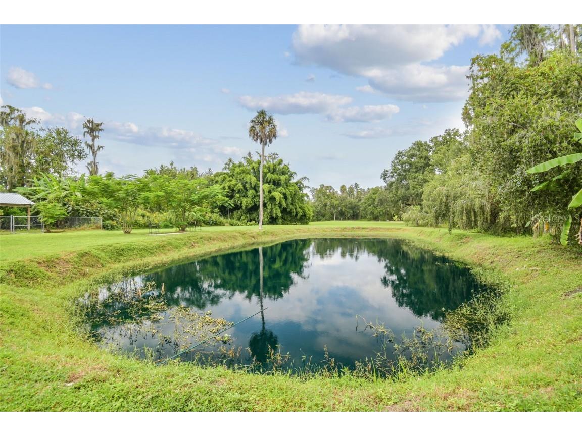 5504 Bruton Road Plant City FL 33565 TB8432167 image62