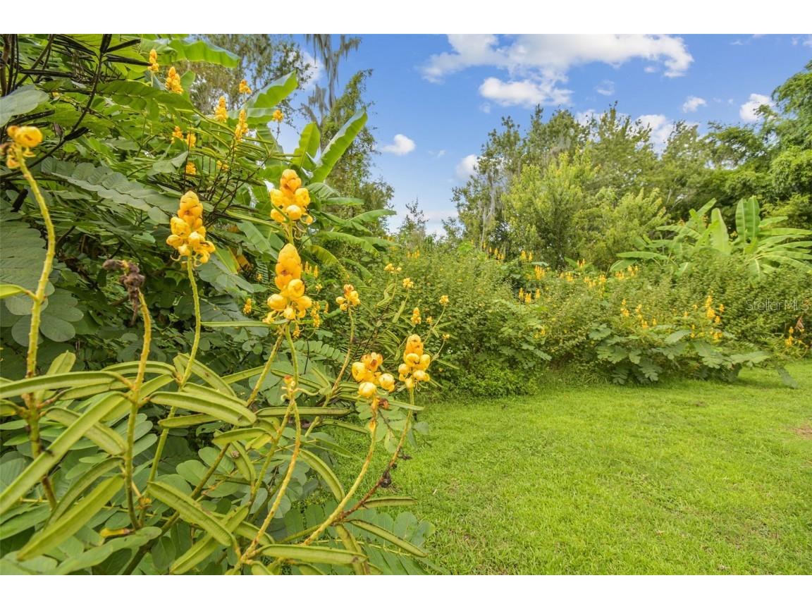 5504 Bruton Road Plant City FL 33565 TB8432167 image64