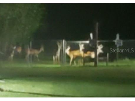 5504 Bruton Road Plant City FL 33565 TB8432167 image95