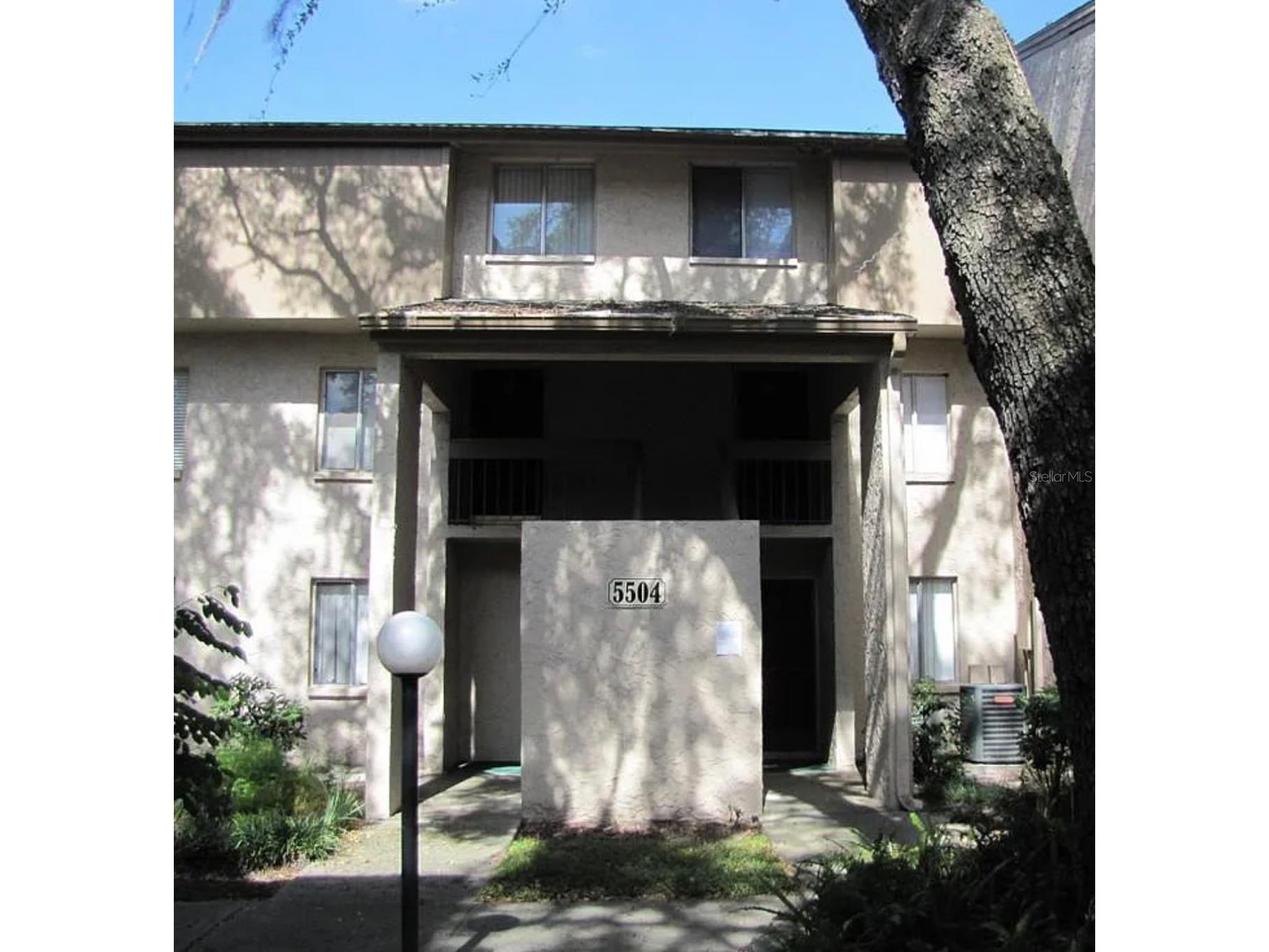 5504 Loblolly Court #204 Tampa FL 33617 TB8500018 image1