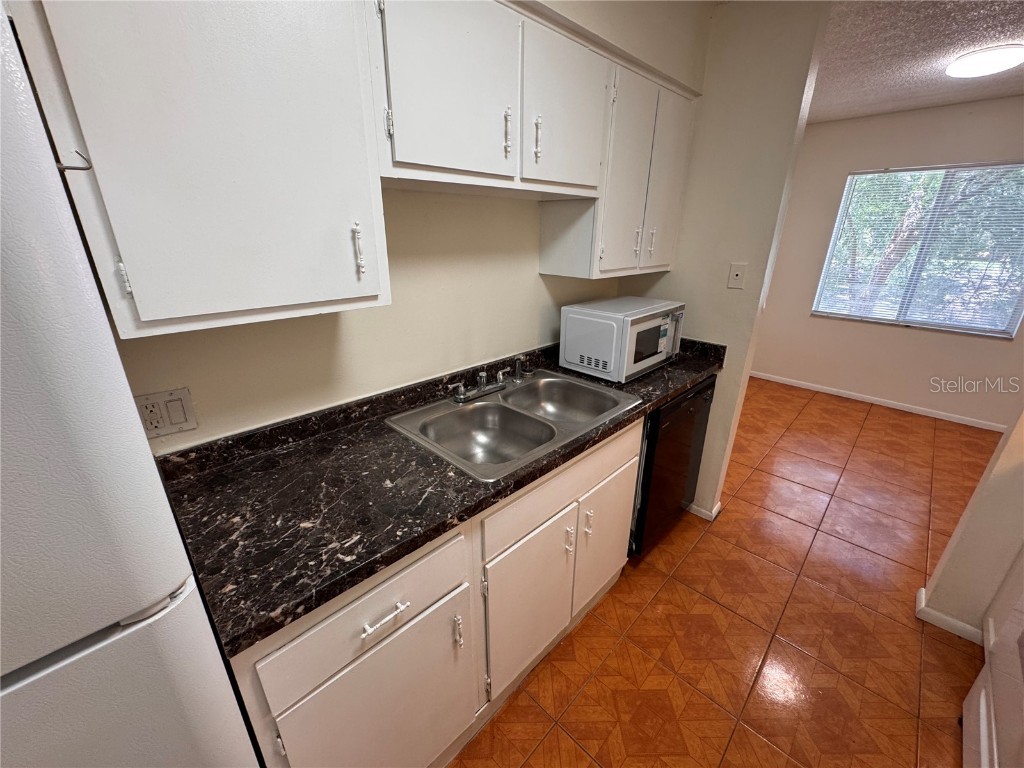 5504 Pokeweed Court #154 Tampa FL 33617 O6334305 image16