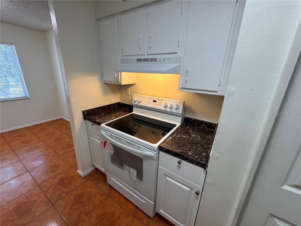 5504 Pokeweed Court #154 Tampa FL 33617 O6334305 image17