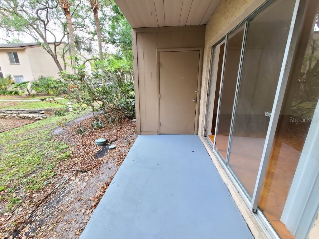 5504 Pokeweed Court #154 Tampa FL 33617 O6334305 image21