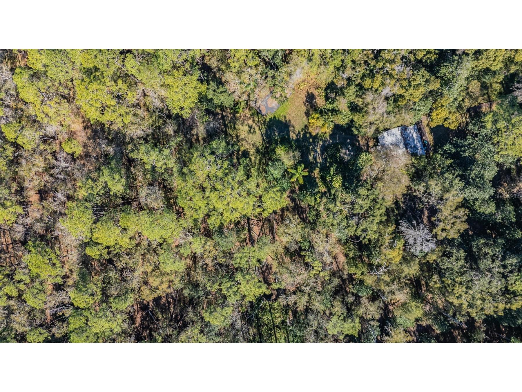 5504 Sun Up Road Land O Lakes FL 34638 - LAKE THOMAS TB8467202 image11