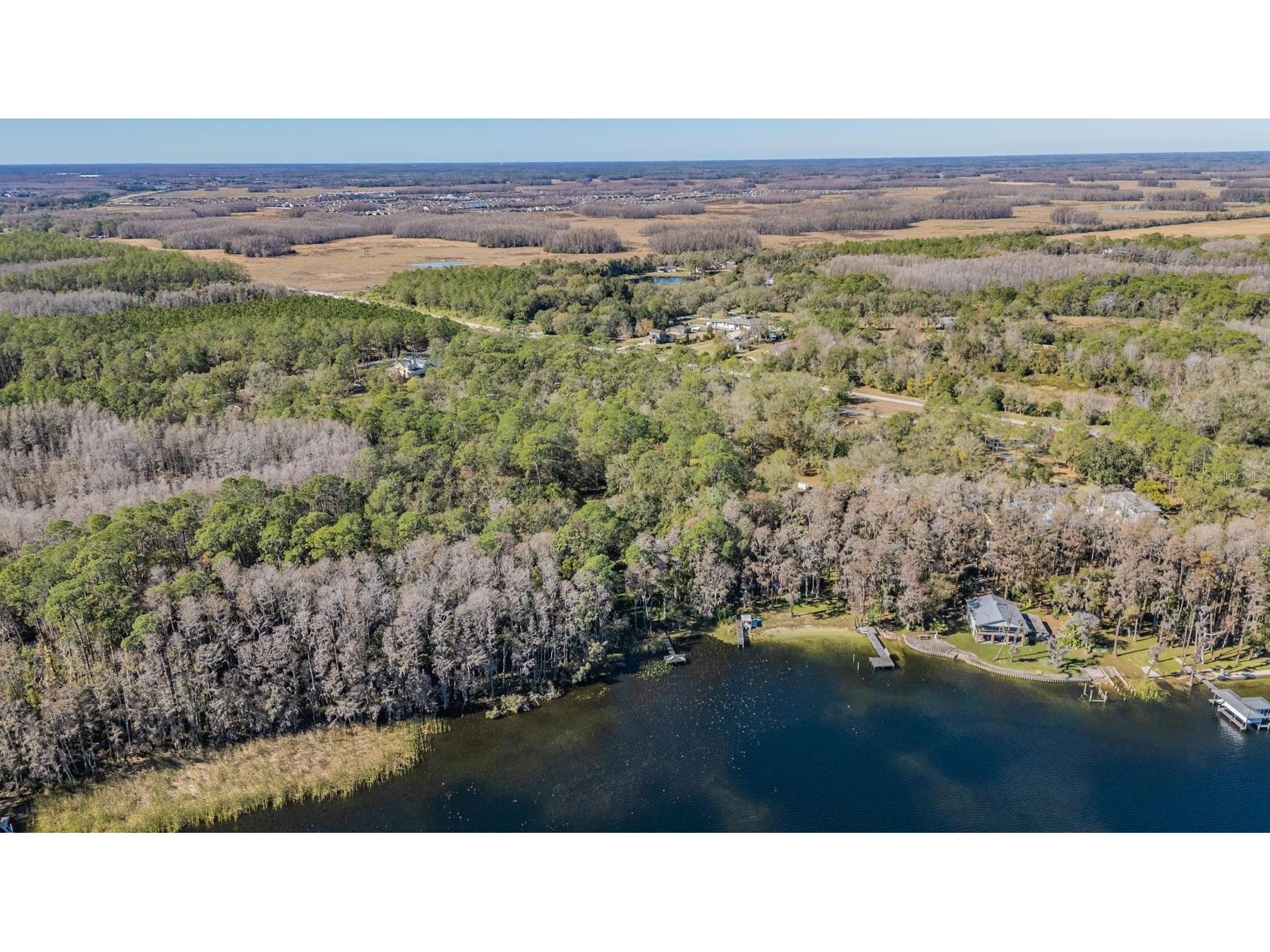 5504 Sun Up Road Land O Lakes FL 34638 - LAKE THOMAS TB8467202 image14