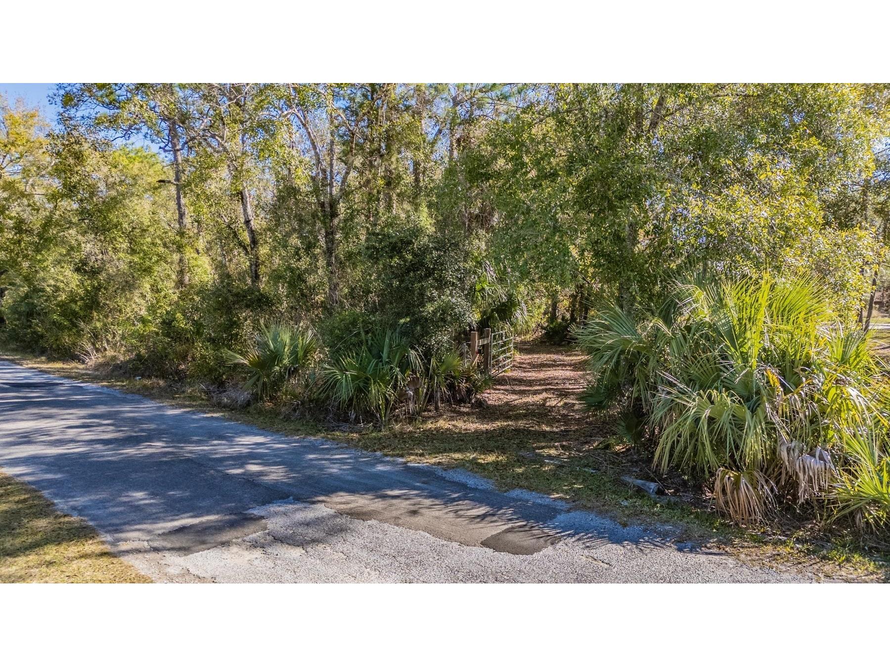 5504 Sun Up Road Land O Lakes FL 34638 - LAKE THOMAS TB8467202 image16
