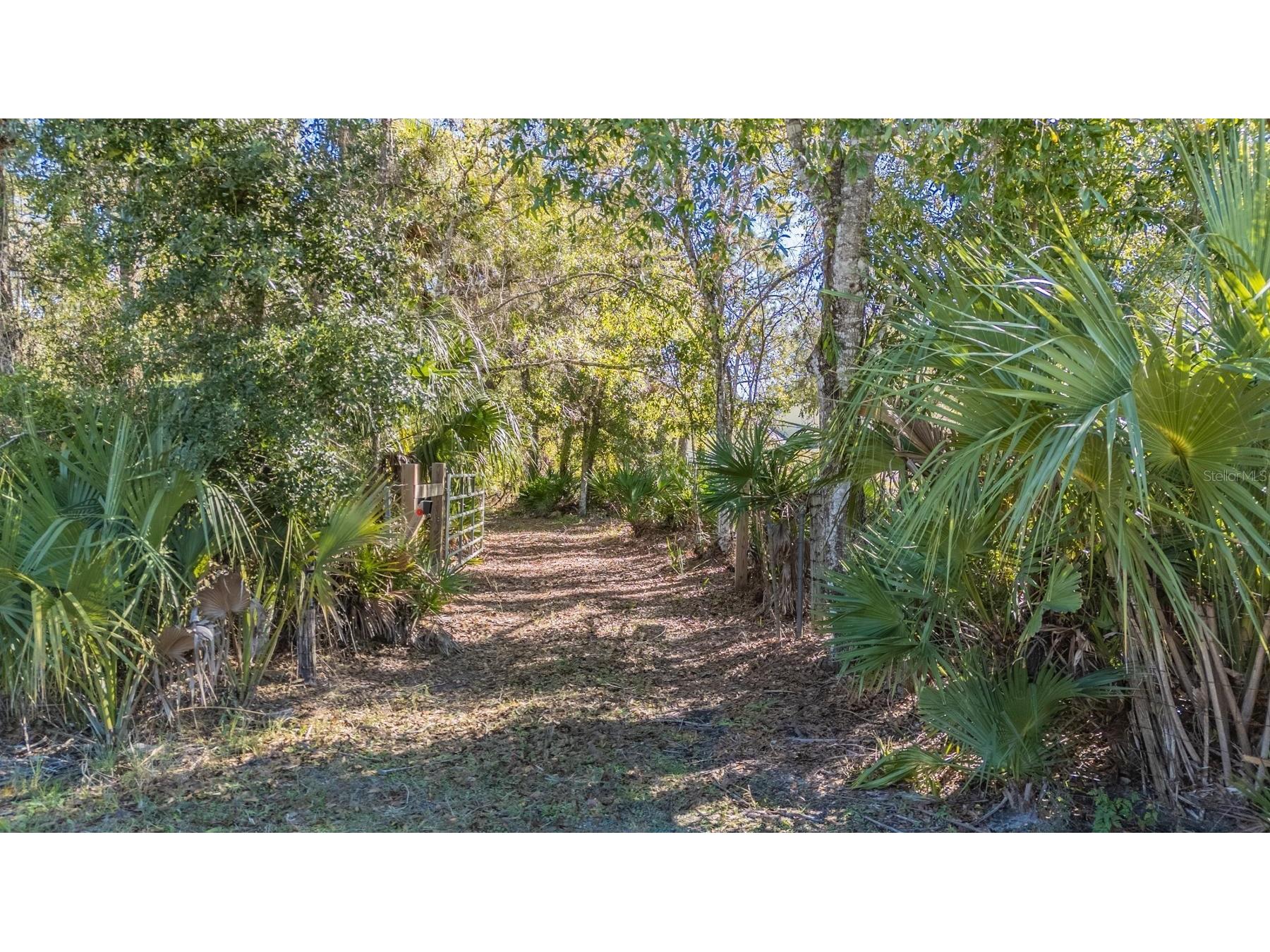 5504 Sun Up Road Land O Lakes FL 34638 - LAKE THOMAS TB8467202 image17