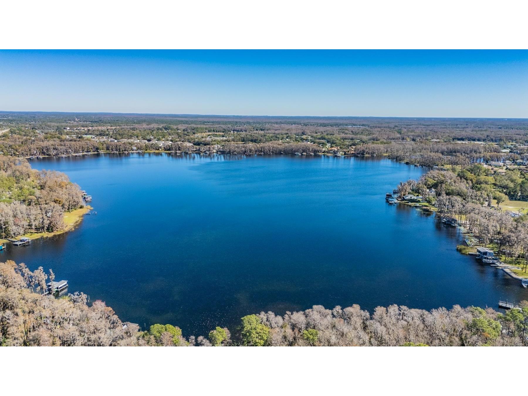 5504 Sun Up Road Land O Lakes FL 34638 - LAKE THOMAS TB8467202 image3