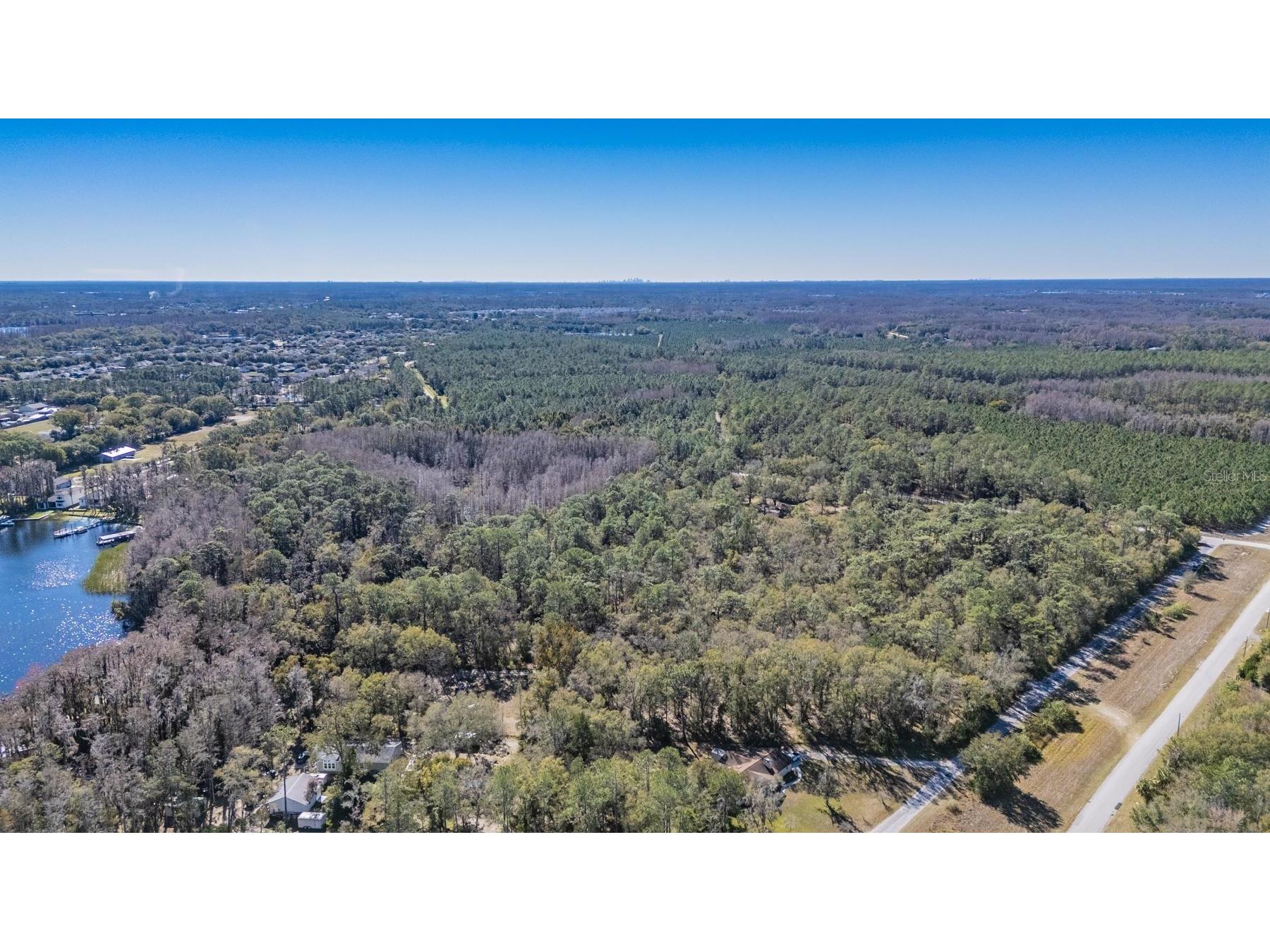 5504 Sun Up Road Land O Lakes FL 34638 - LAKE THOMAS TB8467202 image4