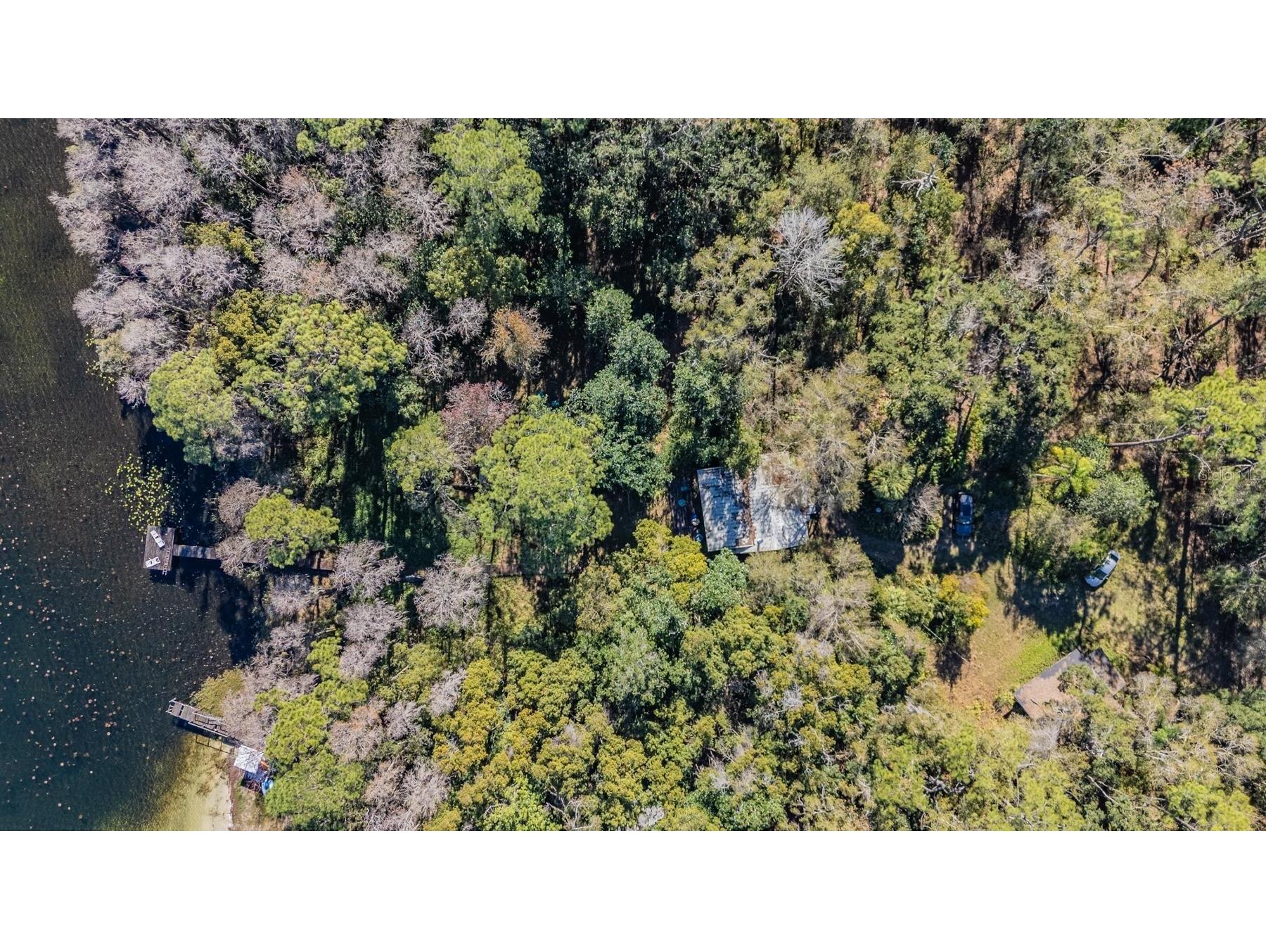 5504 Sun Up Road Land O Lakes FL 34638 - LAKE THOMAS TB8467202 image6