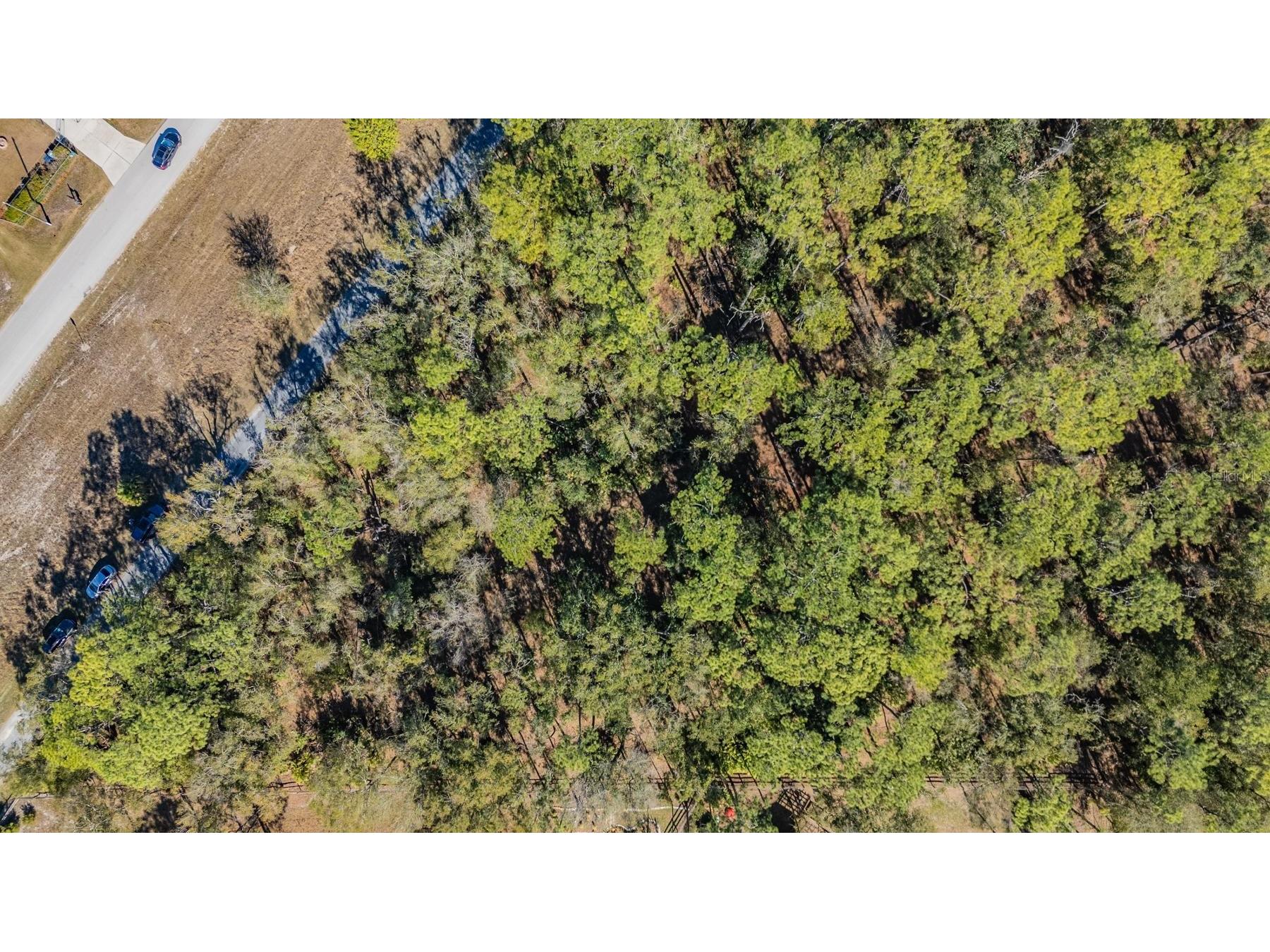 5504 Sun Up Road Land O Lakes FL 34638 - LAKE THOMAS TB8467202 image9