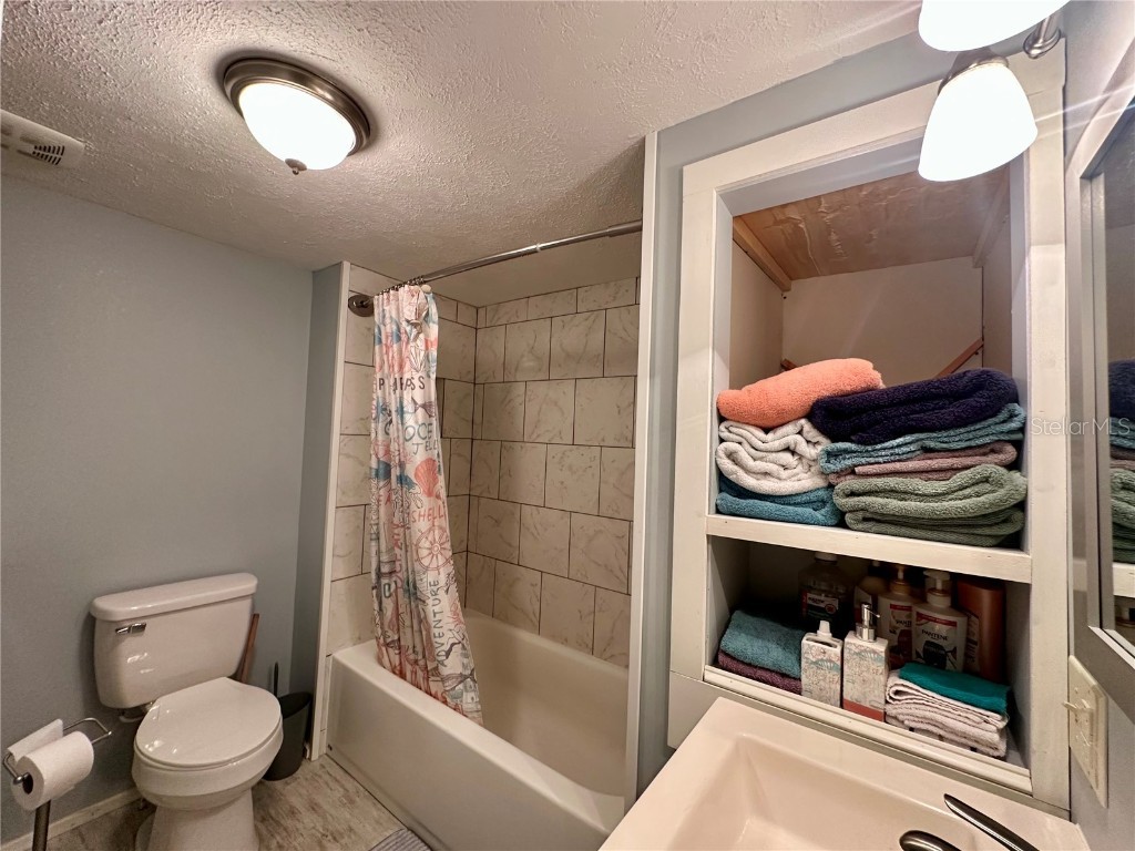 55045 6th Street Astor FL 32102 R4909684 image21