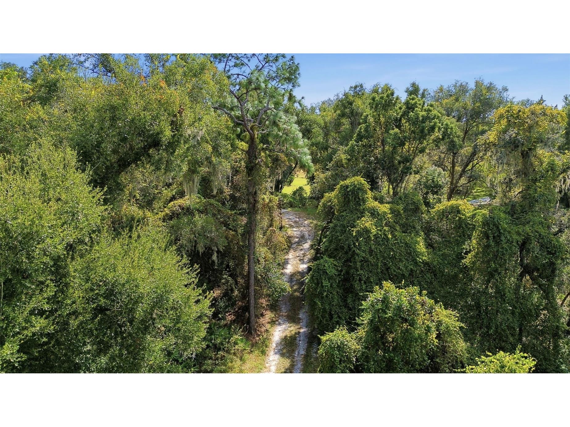 5505 Cr 634s Bushnell FL 33513 G5109988 image3