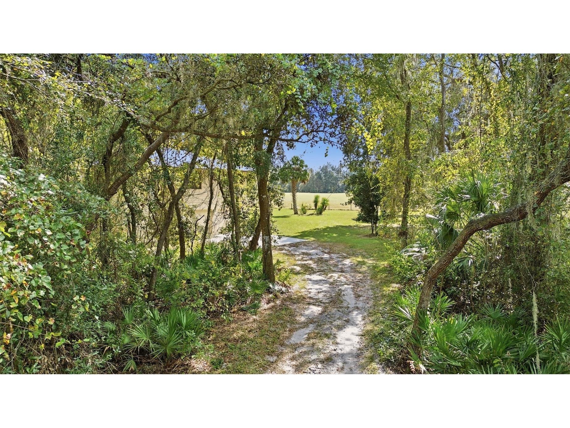 5505 Cr 634s Bushnell FL 33513 G5109988 image8