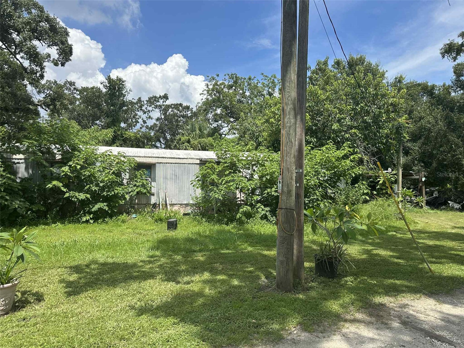 5505 Maple Lane Tampa FL 33610 - BY-PASS CANAL TB8428464 image5