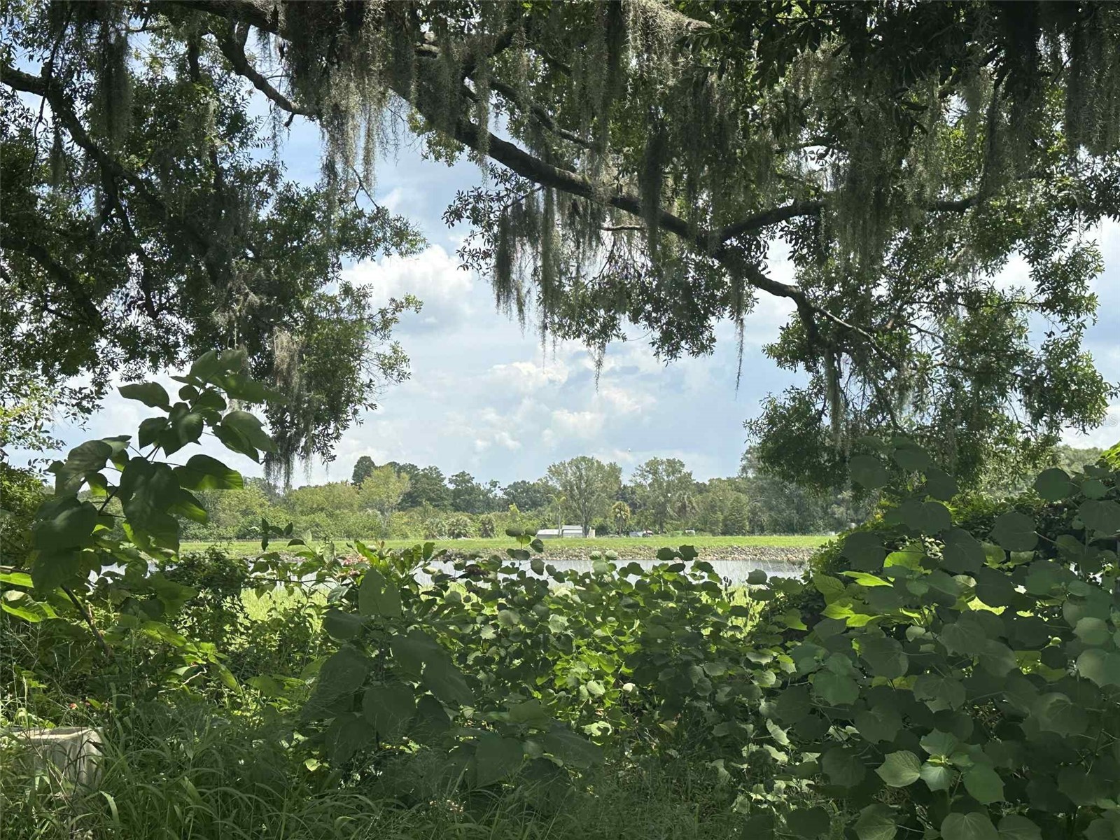 5505 Maple Lane Tampa FL 33610 - BY-PASS CANAL TB8428464 image7