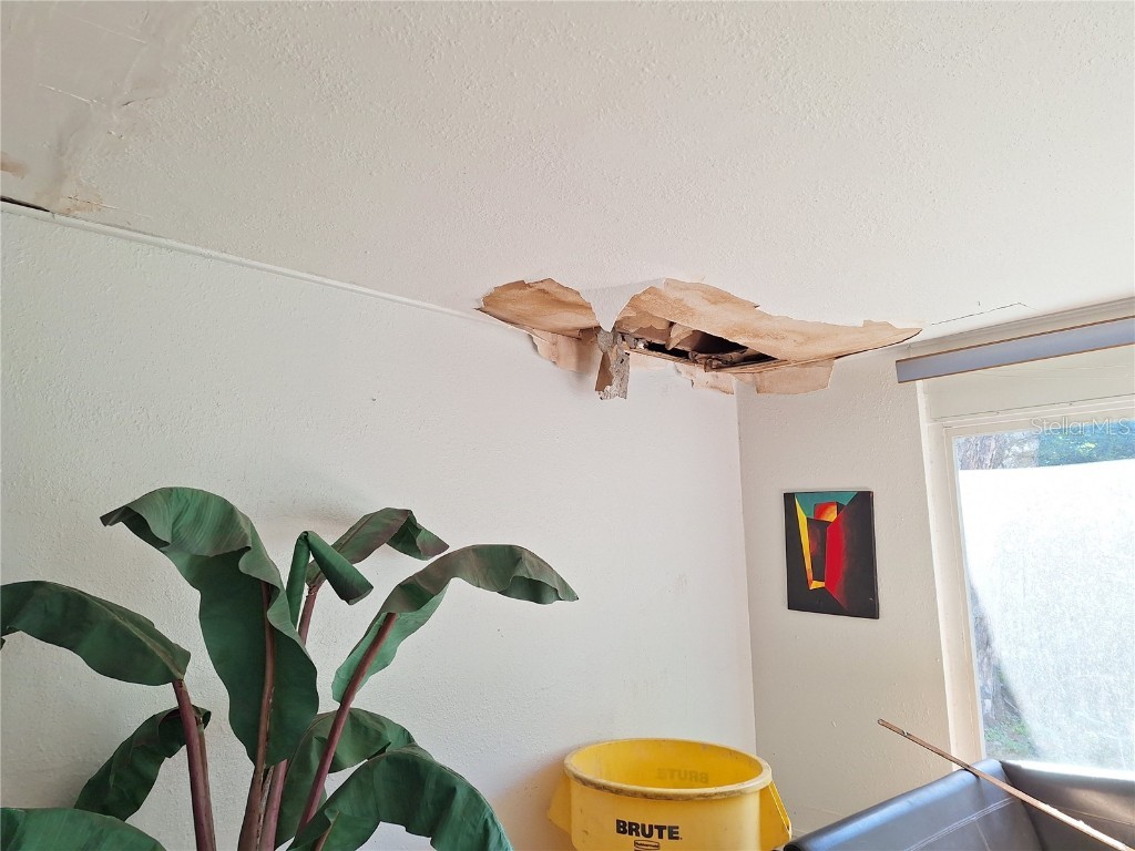 5506 Carlton Road New Port Richey FL 34652 W7881282 image31