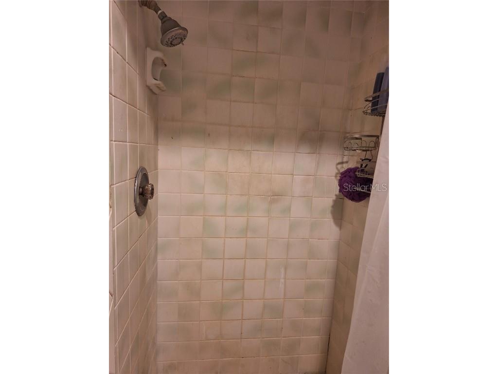 5506 Carlton Road New Port Richey FL 34652 W7881282 image41