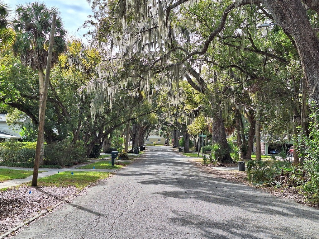 5506 Carlton Road New Port Richey FL 34652 W7881282 image48