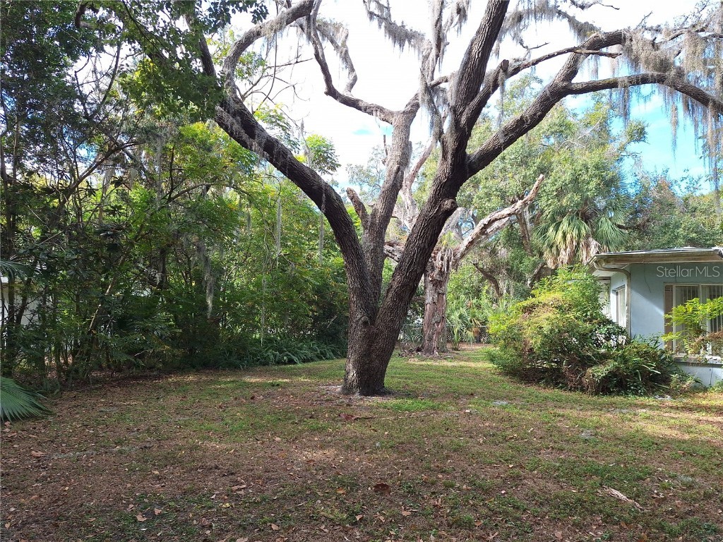 5506 Carlton Road New Port Richey FL 34652 W7881282 image53