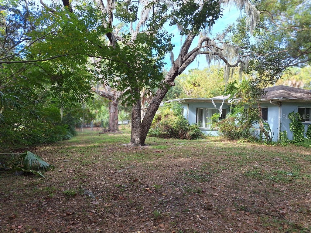 5506 Carlton Road New Port Richey FL 34652 W7881282 image54