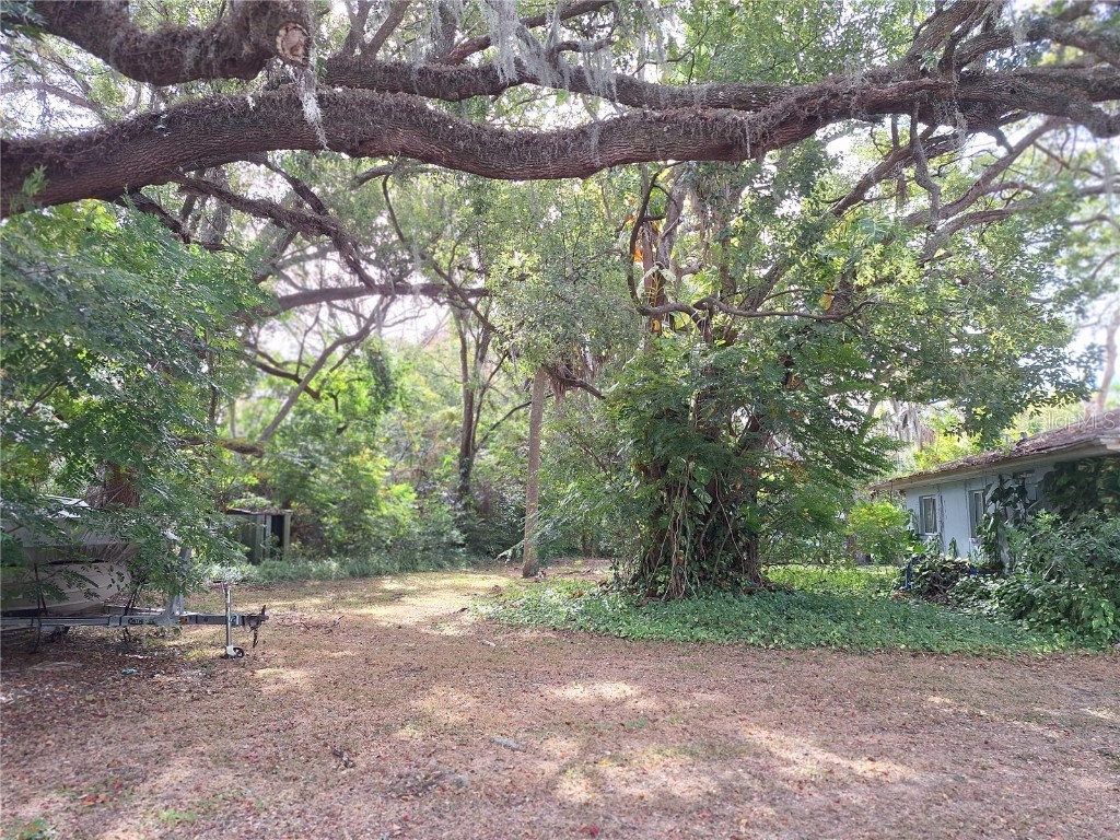 5506 Carlton Road New Port Richey FL 34652 W7881282 image56