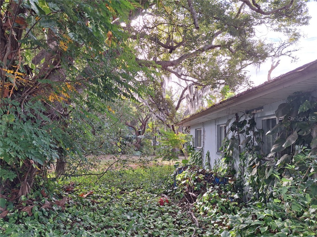 5506 Carlton Road New Port Richey FL 34652 W7881282 image57