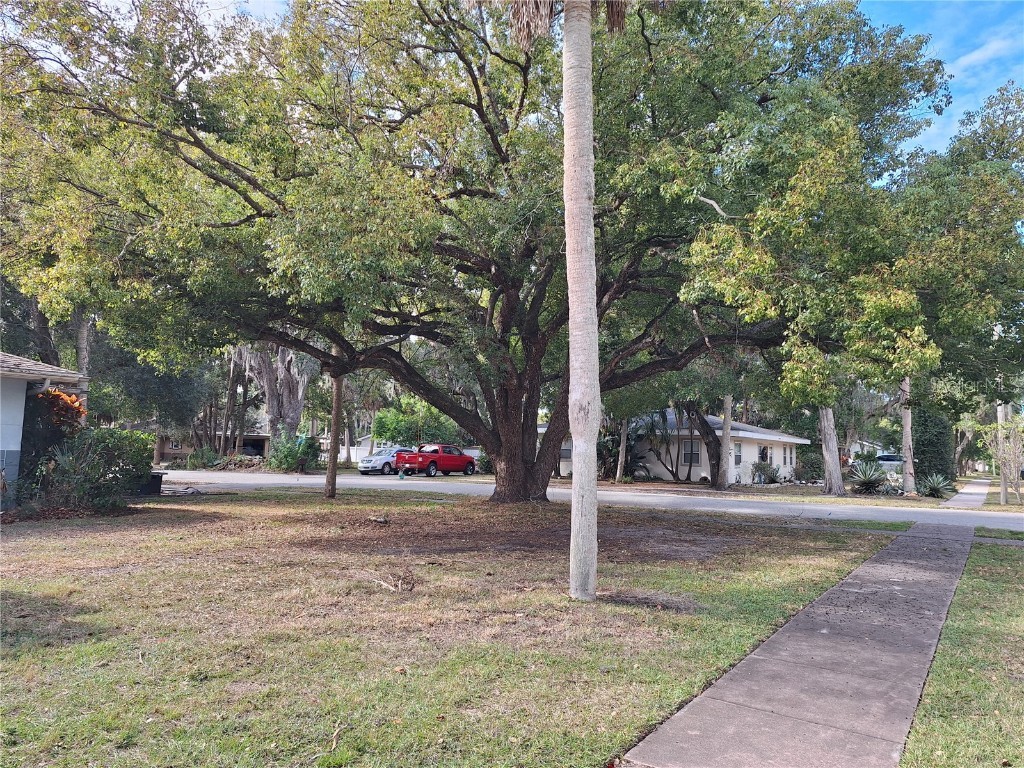 5506 Carlton Road New Port Richey FL 34652 W7881282 image58