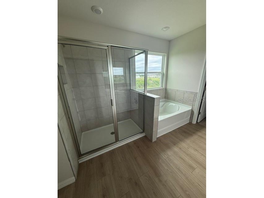 5506 Silver Moonlight Drive Palmetto FL 34221 A4678684 image6