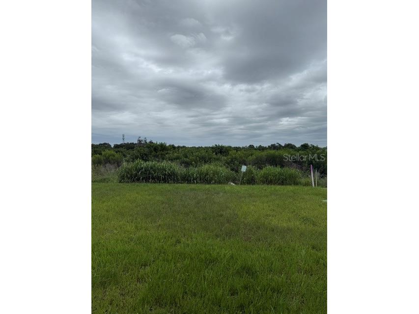 5506 Silver Moonlight Drive Palmetto FL 34221 A4678684 image9