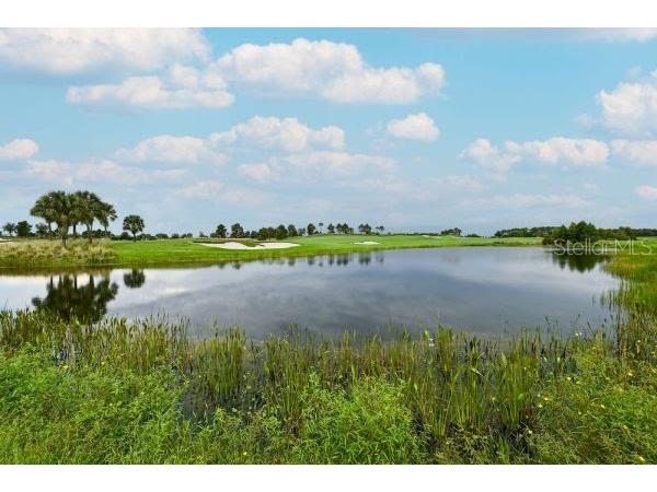 5507 Arnie Loop Lakewood Ranch FL 34211 A4547490 image45