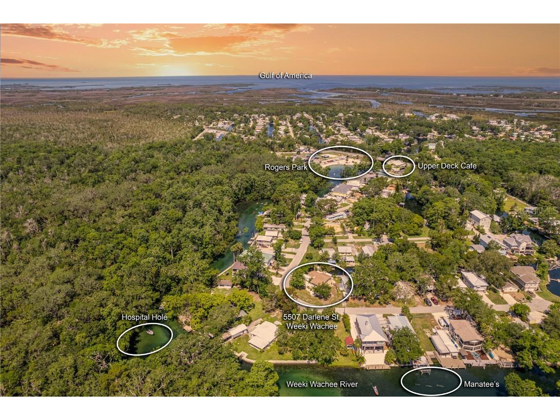 5507 Darlene Street Weeki Wachee FL 34607 - WEEKI WACHEE RIVER & GULF W7879938 image1