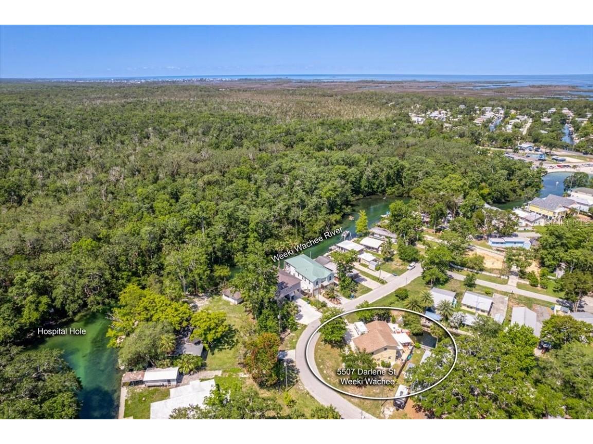 5507 Darlene Street Weeki Wachee FL 34607 - WEEKI WACHEE RIVER & GULF W7879938 image11