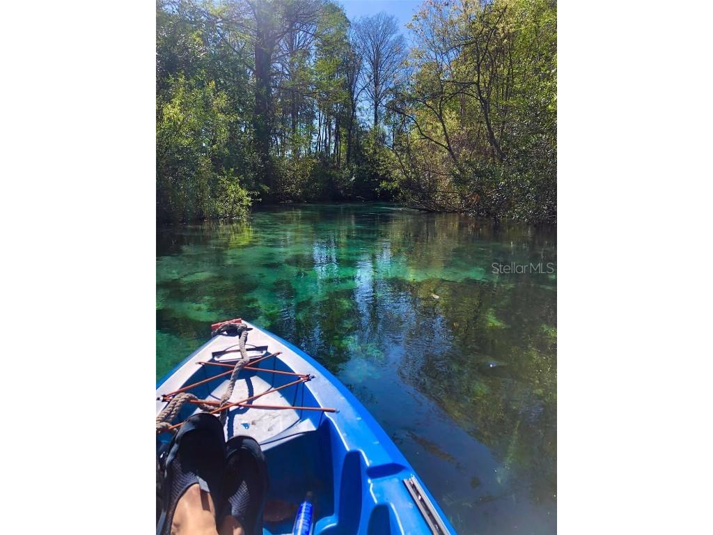 5507 Darlene Street Weeki Wachee FL 34607 - WEEKI WACHEE RIVER & GULF W7879938 image13