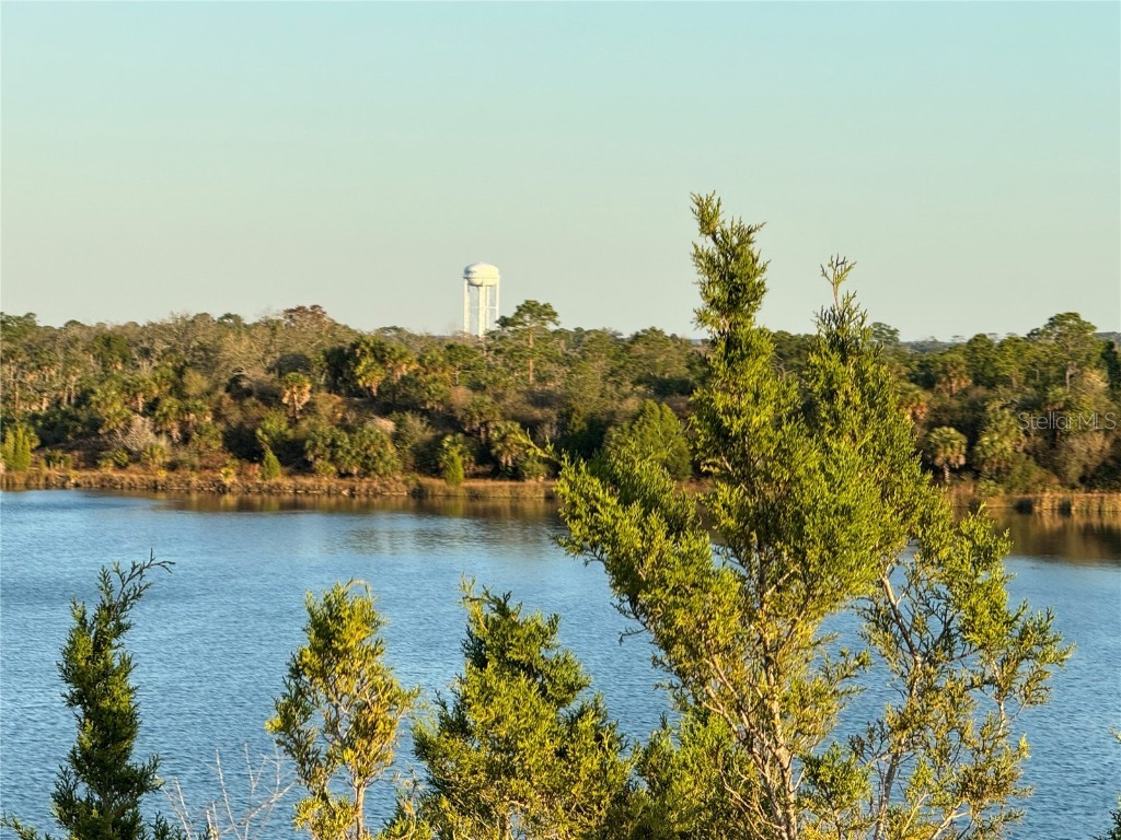 5507 Darlene Street Weeki Wachee FL 34607 - WEEKI WACHEE RIVER & GULF W7879938 image16