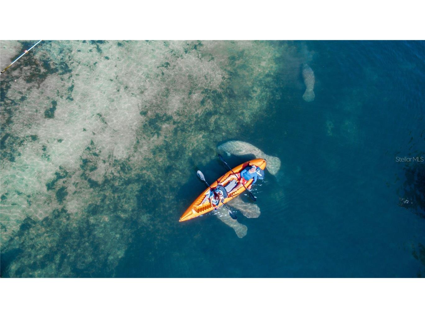 5507 Darlene Street Weeki Wachee FL 34607 - WEEKI WACHEE RIVER & GULF W7879938 image6