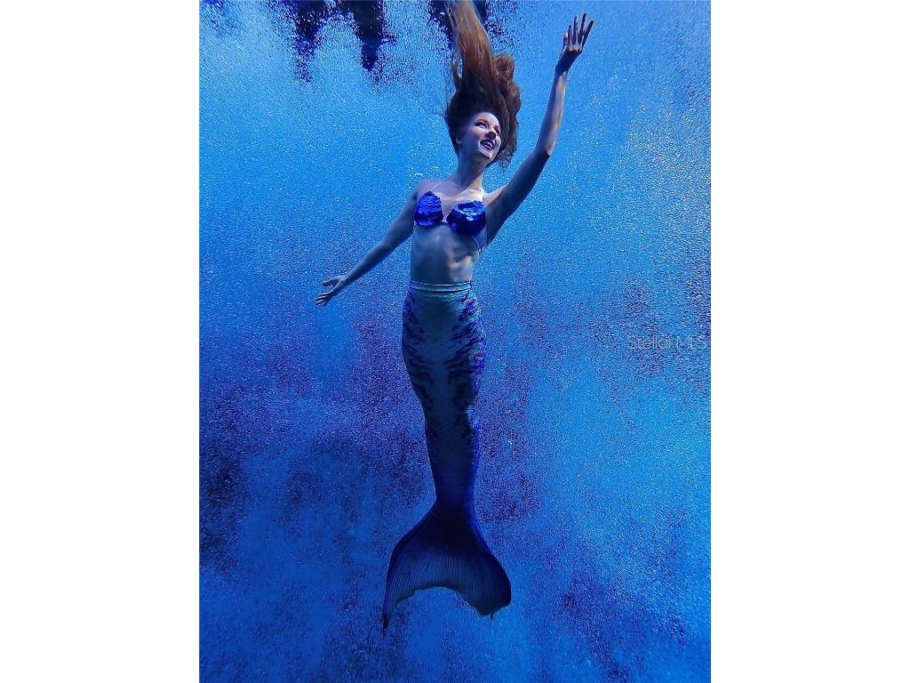 5507 Darlene Street Weeki Wachee FL 34607 - WEEKI WACHEE RIVER & GULF W7879938 image64