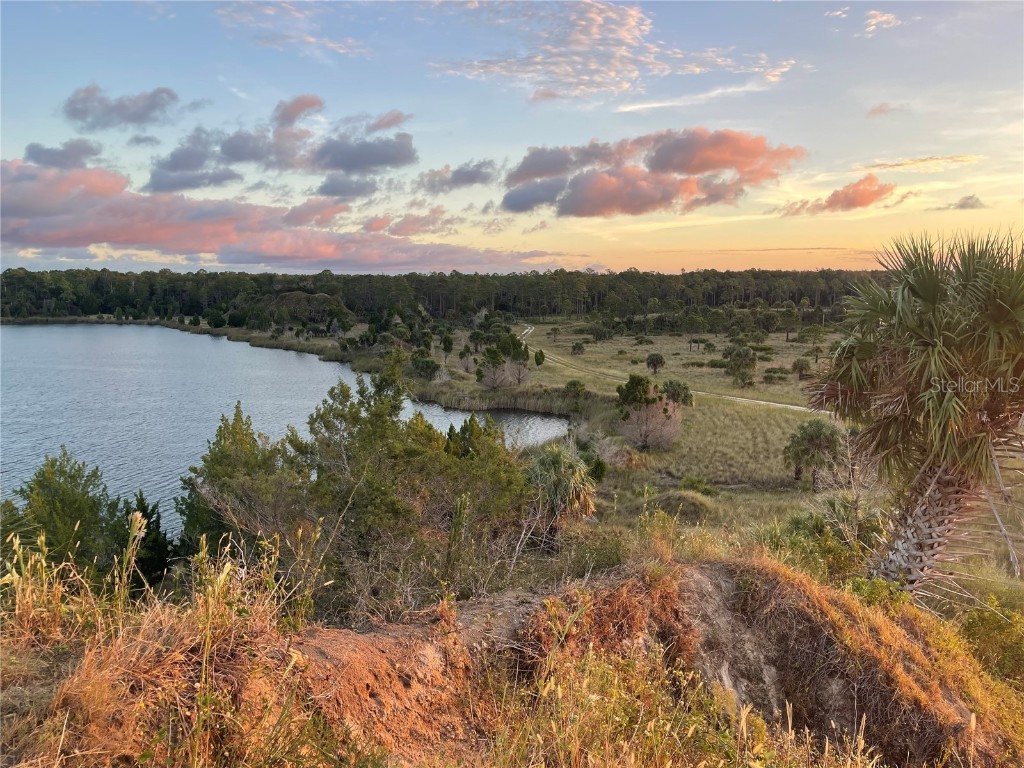 5507 Darlene Street Weeki Wachee FL 34607 - WEEKI WACHEE RIVER & GULF W7879938 image67