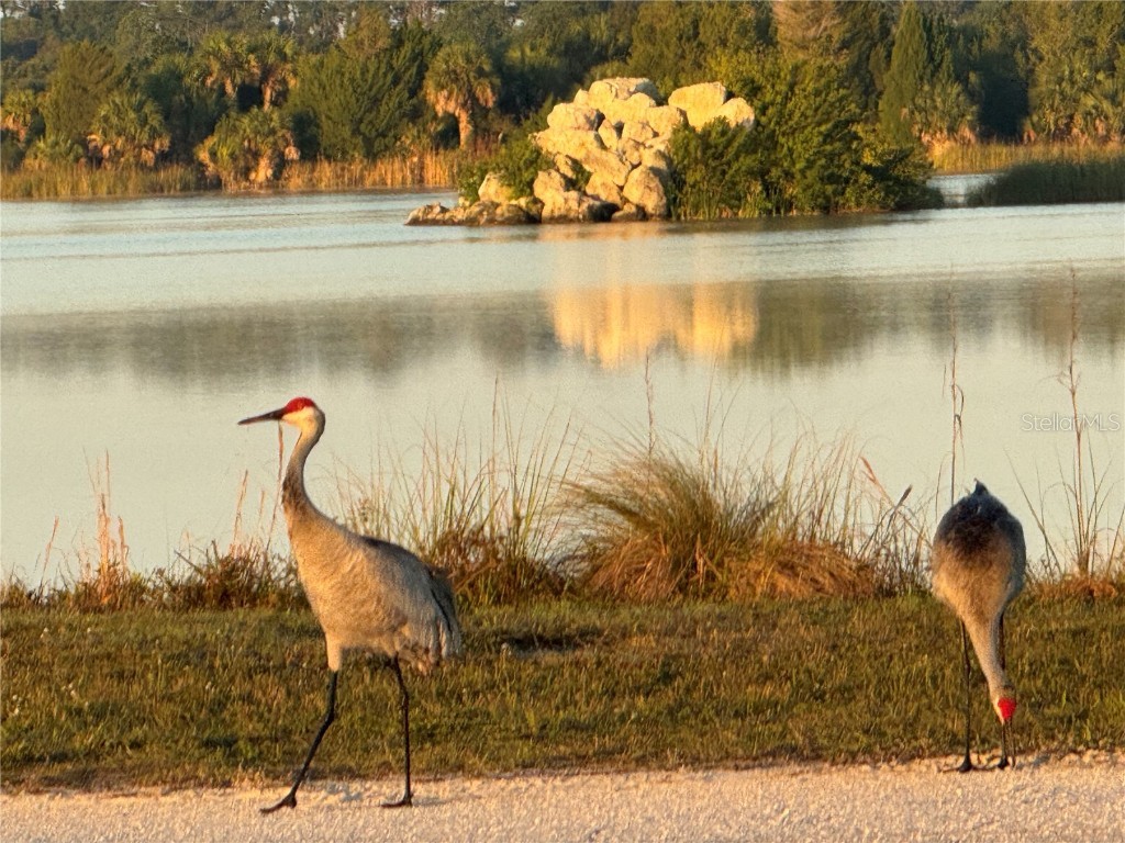 5507 Darlene Street Weeki Wachee FL 34607 - WEEKI WACHEE RIVER & GULF W7879938 image69