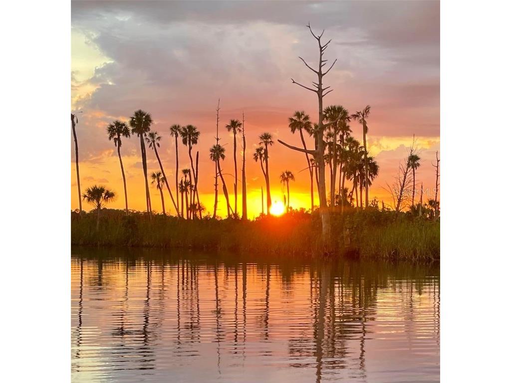 5507 Darlene Street Weeki Wachee FL 34607 - WEEKI WACHEE RIVER & GULF W7879938 image70