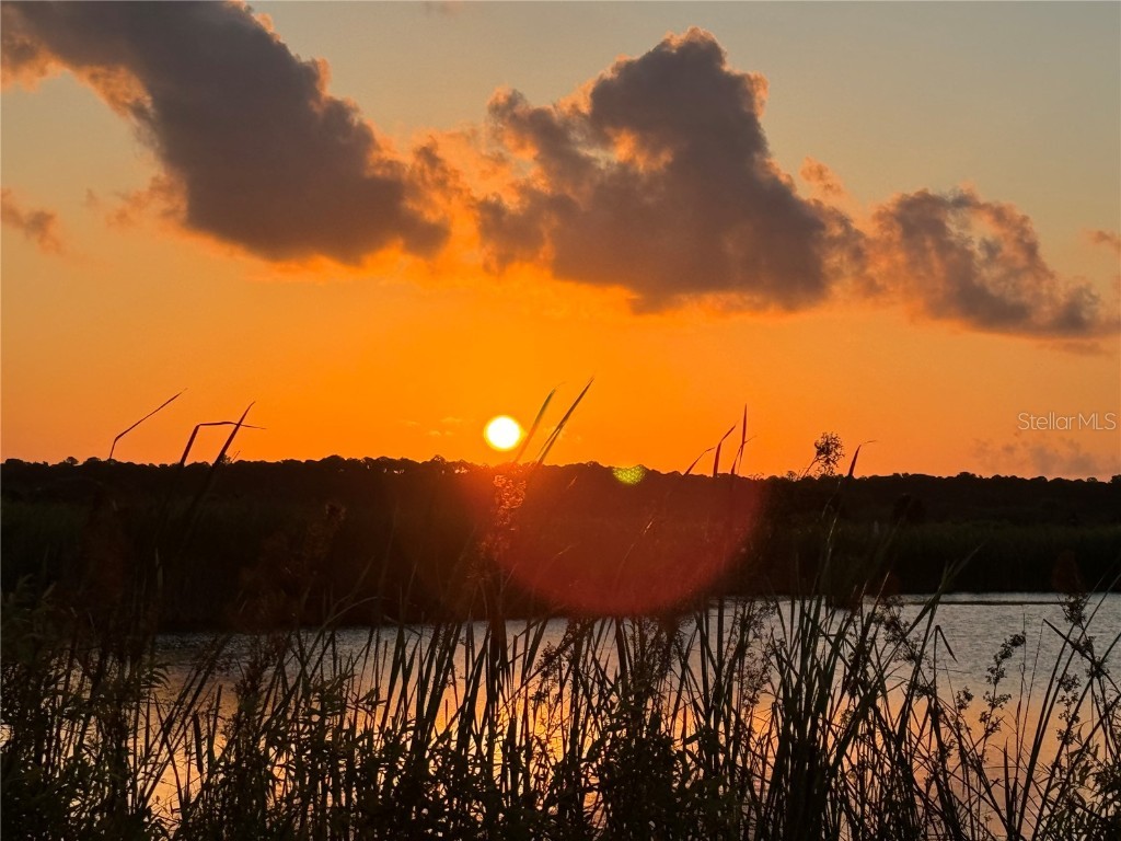 5507 Darlene Street Weeki Wachee FL 34607 - WEEKI WACHEE RIVER & GULF W7879938 image71