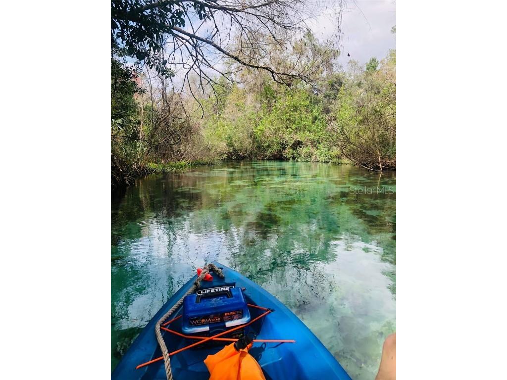 5507 Darlene Street Weeki Wachee FL 34607 - WEEKI WACHEE RIVER & GULF W7879938 image72